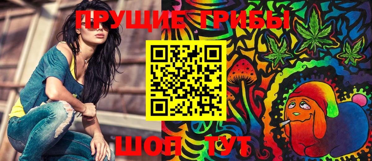 Губаха  Галлюциногенные грибы GOLDEN TEACHER  Вход с VPN 